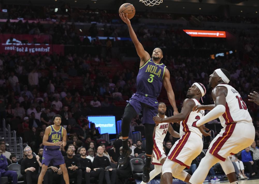 职业生涯的 职业生涯的